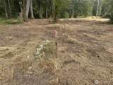 154 XX Jones Road - Photo 3