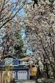 8603 141st St - Photo 3