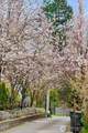 8603 141st St - Photo 4