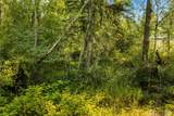 11817 288th Street - Photo 8