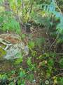14506 106th Street Ct - Photo 7
