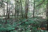 41102 Tanwax Road - Photo 14