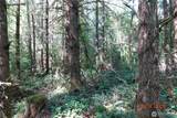 41102 Tanwax Road - Photo 9
