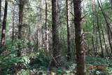 41102 Tanwax Road - Photo 10