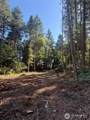 9998 Lofgren Road - Photo 1