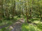 0 Durrwachter Road - Photo 11