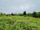 4311 Bethel Road - Photo 4