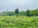 4311 Bethel Road - Photo 7