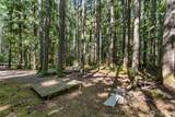 331 N. Dow Mtn. Drive - Photo 17