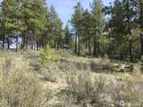 0 Ivan Morse Road - Photo 6