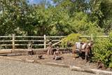 2911 Taneum Road - Photo 27