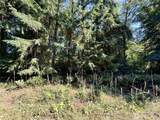 10516 106th Street - Photo 6