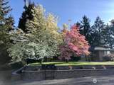 10419 16th Street - Photo 37