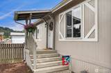 304 Pheasant Lane - Photo 30