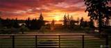 907 Chuckanut Drive - Photo 2