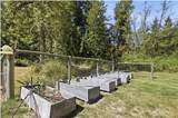 32503 Webster Road - Photo 33