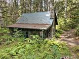 832 Lake Cushman Road - Photo 3