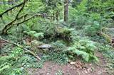 832 Lake Cushman Road - Photo 7