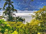 776 Shelter Bay Drive - Photo 3