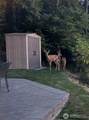 2003 82nd Avenue - Photo 29