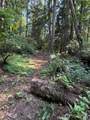 0 Squalicum Mountain Road - Photo 5