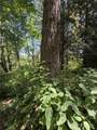 0 Squalicum Mountain Road - Photo 8