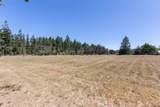 31 Mcfarland Drive - Photo 10