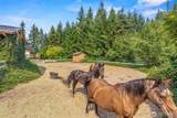 891 Young Road - Photo 27