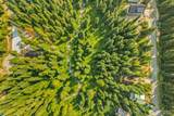 34374 Nason Road - Photo 5