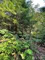 7521 Olsen Drive - Photo 4