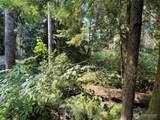 7521 Olsen Drive - Photo 5