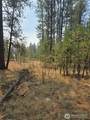 0 Tbd Turner Lake Road - Photo 11