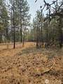 0 Tbd Turner Lake Road - Photo 12