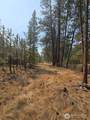 0 Tbd Turner Lake Road - Photo 17