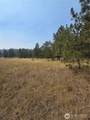 0 Tbd Turner Lake Road - Photo 7
