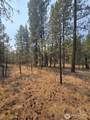 0 Tbd Turner Lake Road - Photo 8
