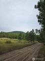 0 Tbd Turner Lake Road - Photo 2
