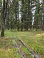 0 Tbd Turner Lake Road - Photo 6