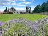 241 Jake Way - Photo 11
