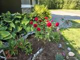 5319 Pilchuck Tree Farm Road - Photo 34