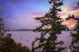 1320 Juniper Beach Road - Photo 22
