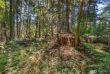 0 Pioneer Hill Road - Photo 17