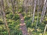 0 Tahuya Valley Drive - Photo 6