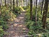 0 Tahuya Valley Drive - Photo 8