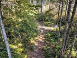 0 Tahuya Valley Drive - Photo 9
