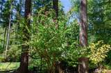 14807 115th Street Ct - Photo 19