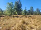 31208 Lebor Devore Road - Photo 12