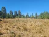 31208 Lebor Devore Road - Photo 13