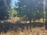 31208 Lebor Devore Road - Photo 4