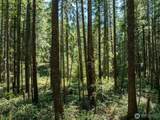 2531 Hanks Lake Road - Photo 18